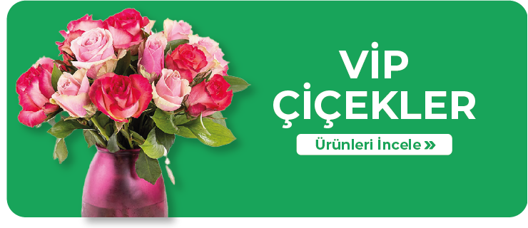 Vip Çiçekler